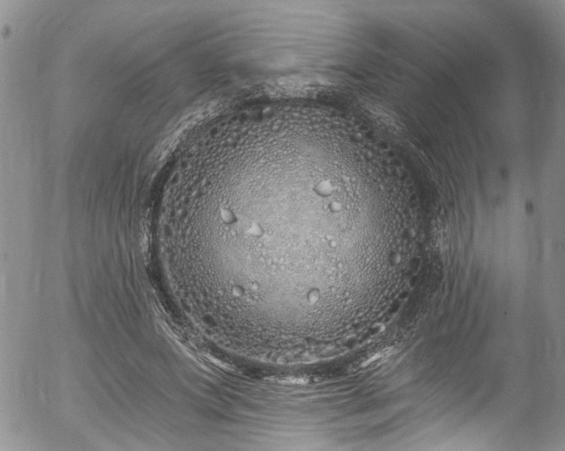 X0000057090687200509120919