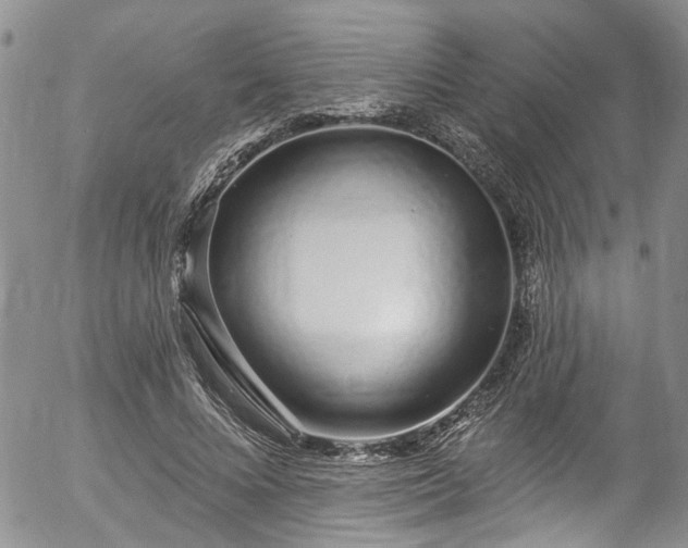 X0000057090688200509120919