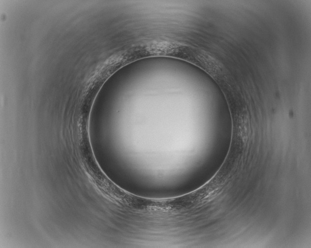 X0000057090690200509120919