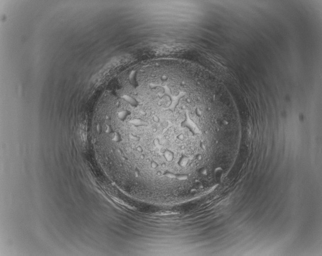 X0000057090691200509120919