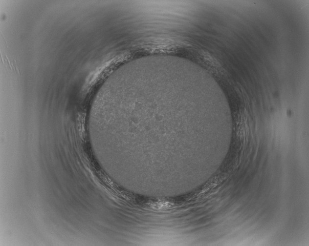 X0000057090695200509120919