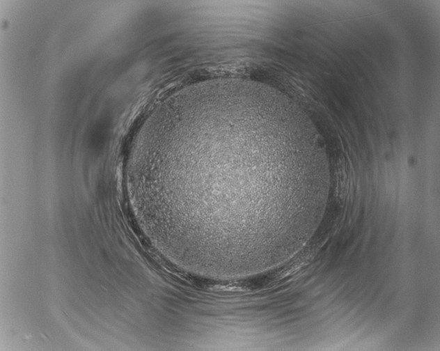 X0000057090699200509120919