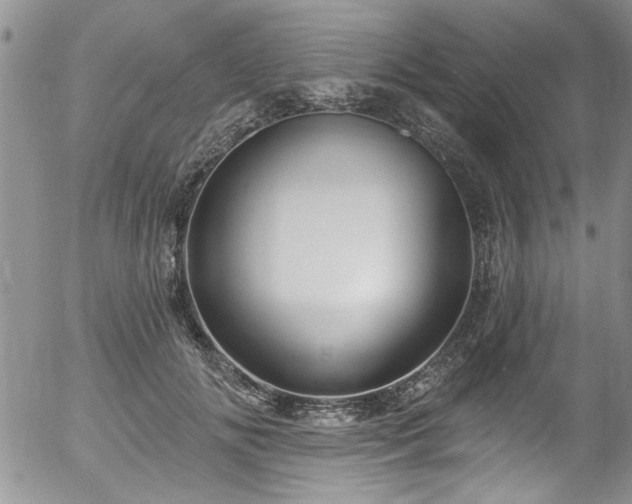 X0000057090702200509120919