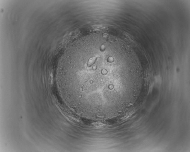 X0000057090703200509120919