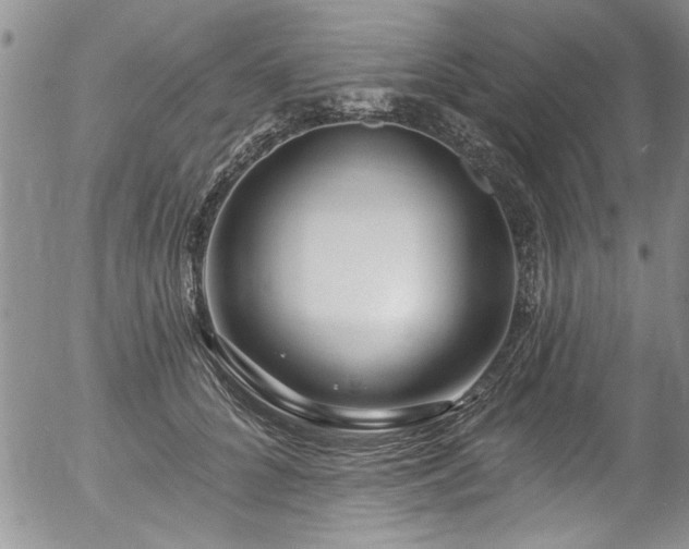 X0000057090704200509120919