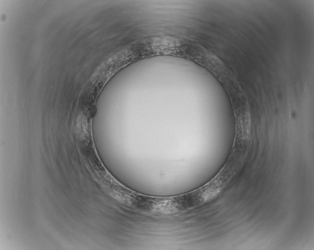 X0000057090705200509120919