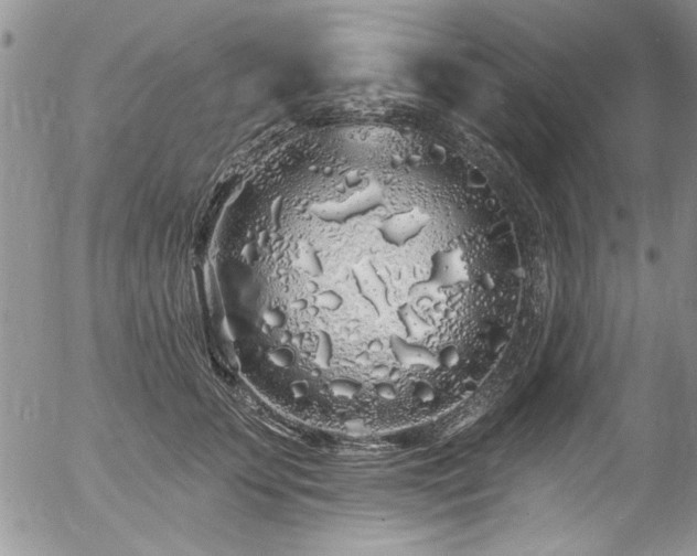 X0000057090707200509120919