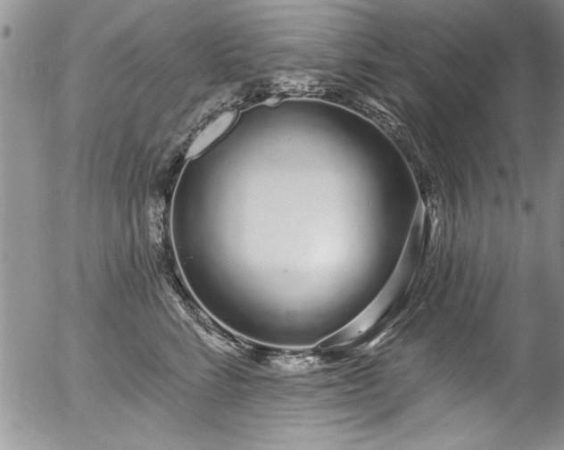 X0000057090712200509120919