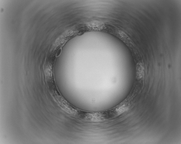 X0000057090713200509120919