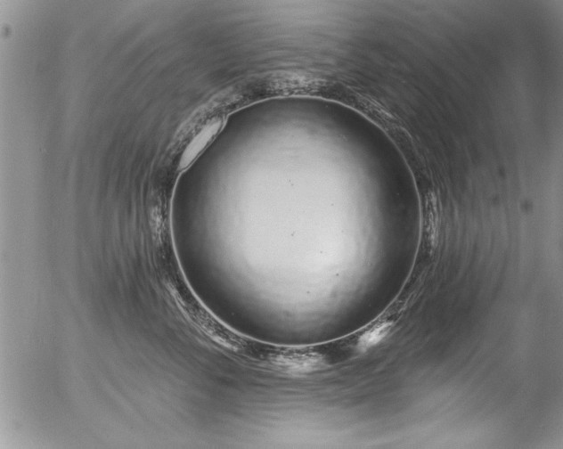 X0000057090716200509120919