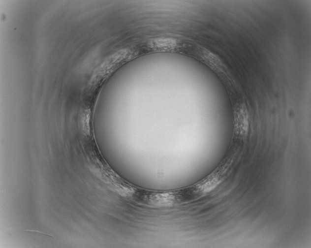 X0000057090717200509120919