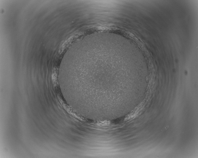 X0000057090720200509120919