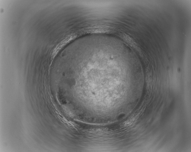 X0000057090721200509120918