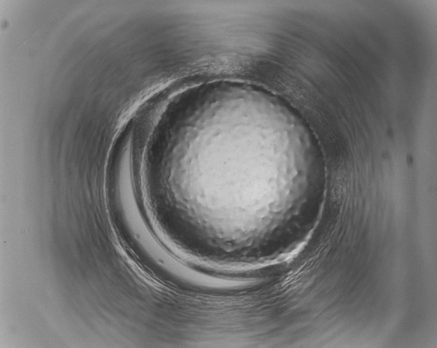 X0000057090722200509120918