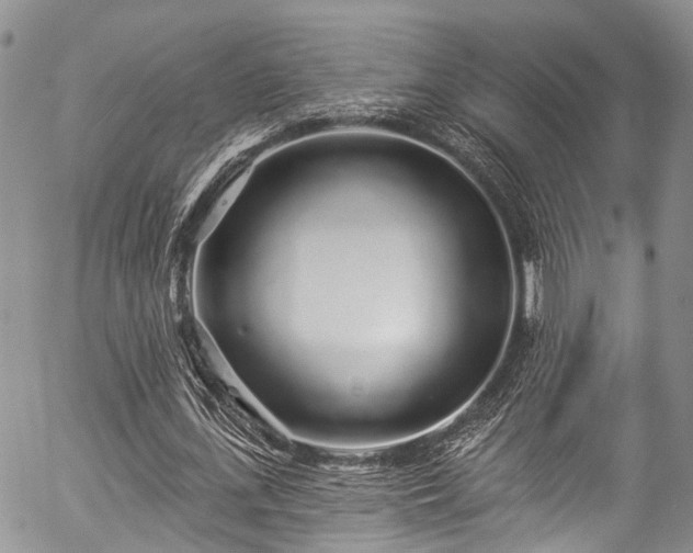 X0000057090723200509120918