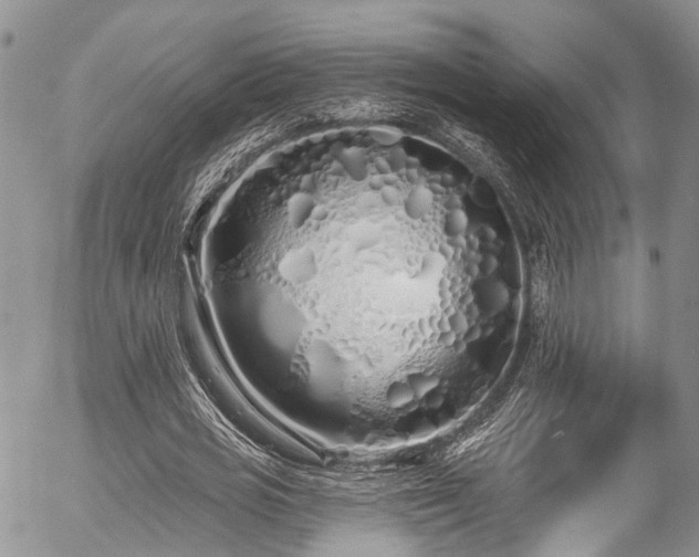 X0000057090725200509120918