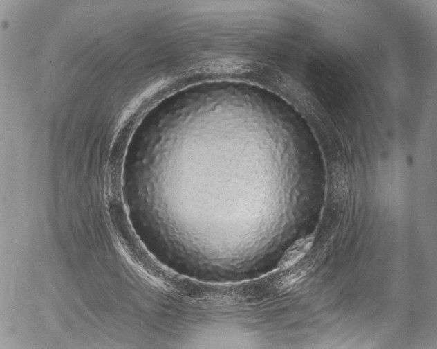 X0000057090726200509120918