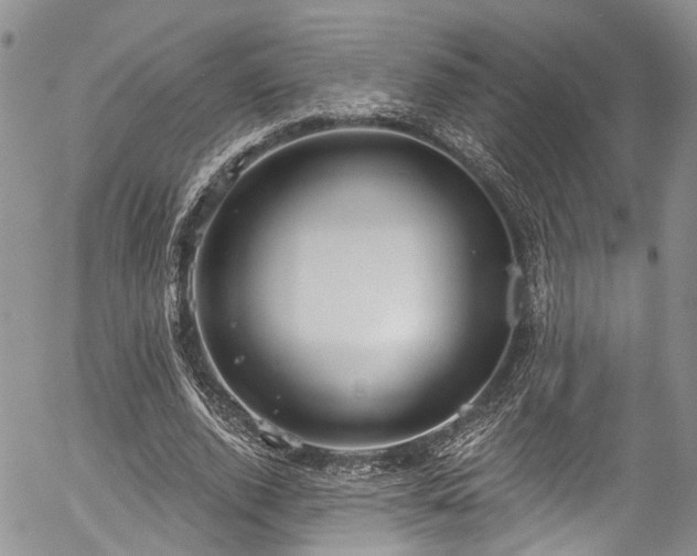 X0000057090728200509120918