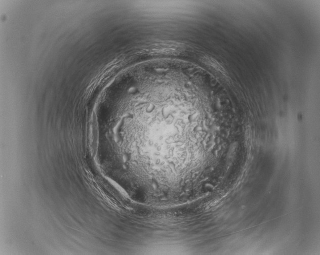 X0000057090729200509120918