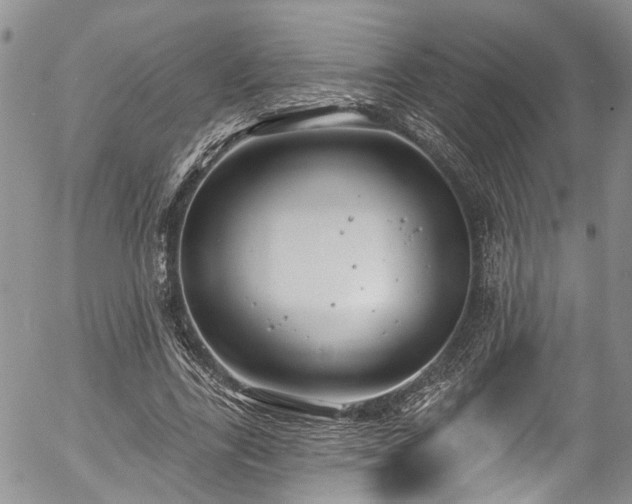 X0000057090731200509120918