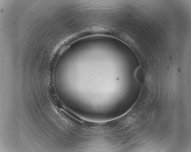 X0000057090732200509120918