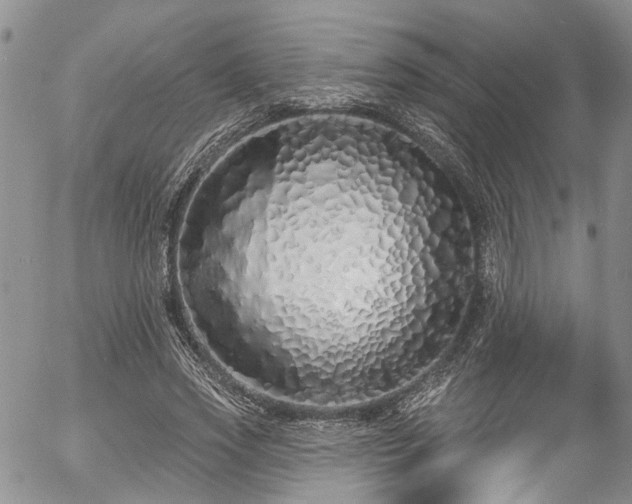 X0000057090733200509120918