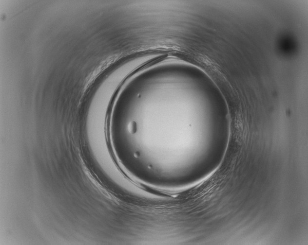 X0000057090734200509120918