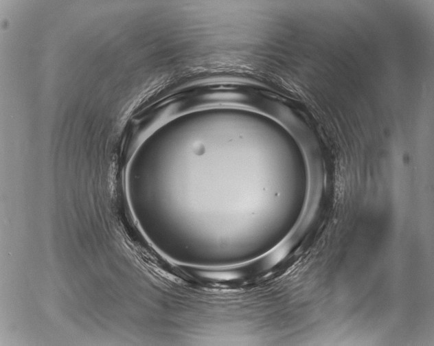 X0000057090735200509120918