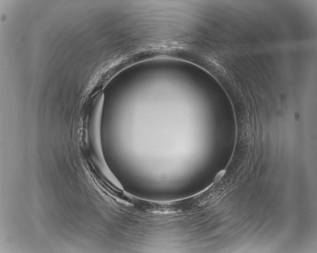 X0000057090736200509120918