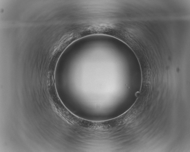 X0000057090738200509120918