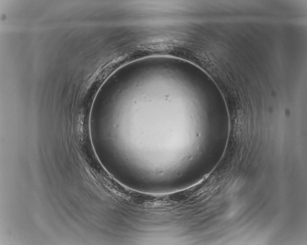 X0000057090739200509120918