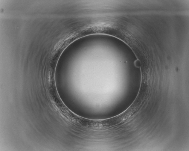 X0000057090740200509120918