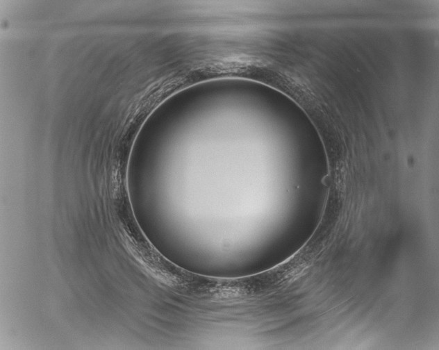 X0000057090741200509120918