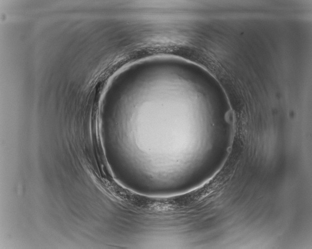 X0000057090742200509120918