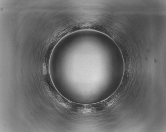 X0000057090743200509120918