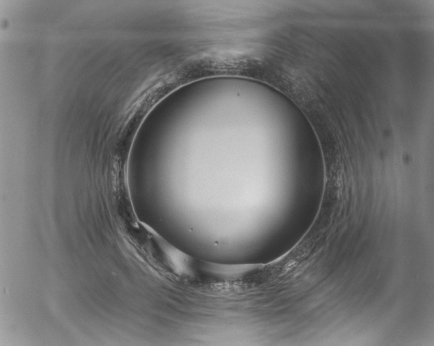 X0000057090744200509120918