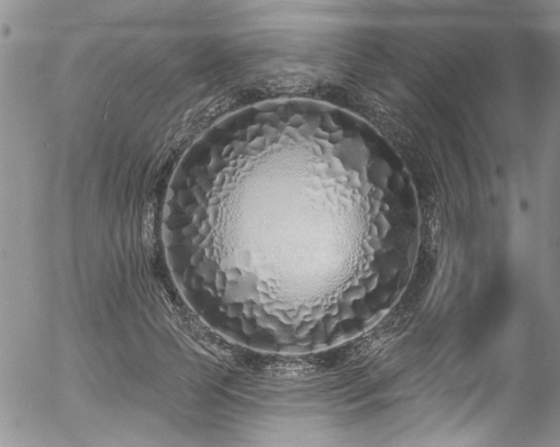 X0000057090745200509120918