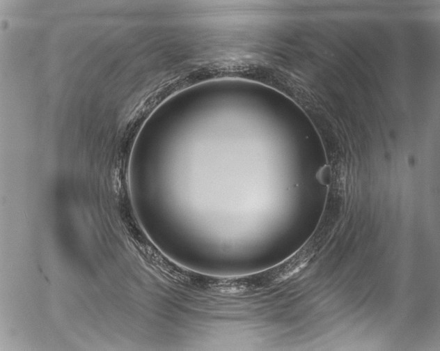 X0000057090746200509120918