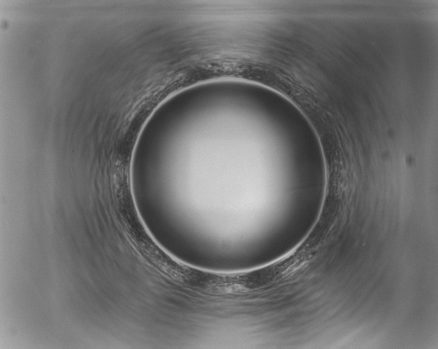 X0000057090747200509120919