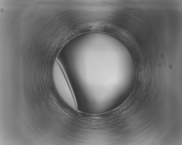 X0000057090748200509120919