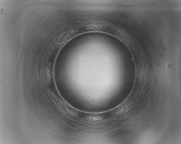 X0000057090749200509120919