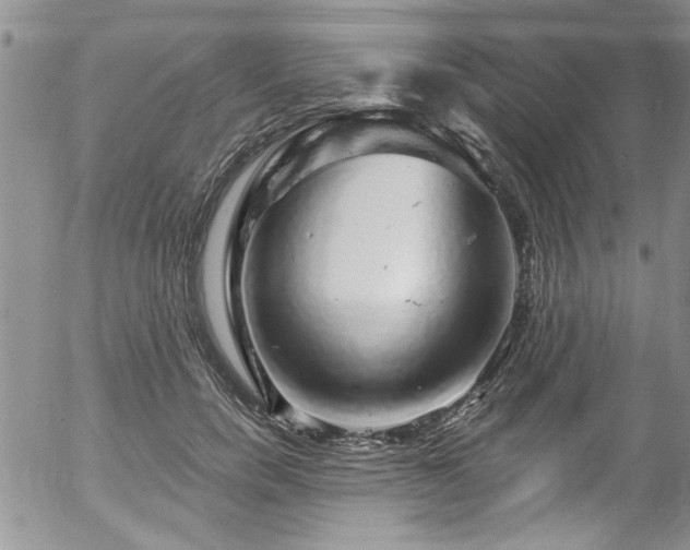 X0000057090750200509120919