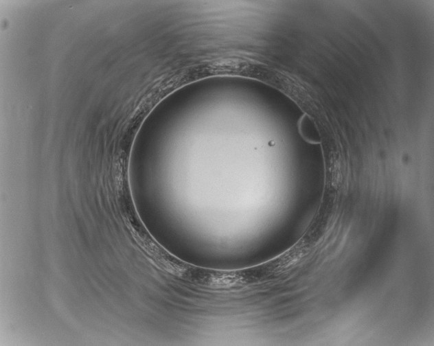 X0000057090753200509120919