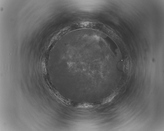 X0000057090754200509120919