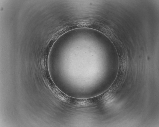 X0000057090755200509120919