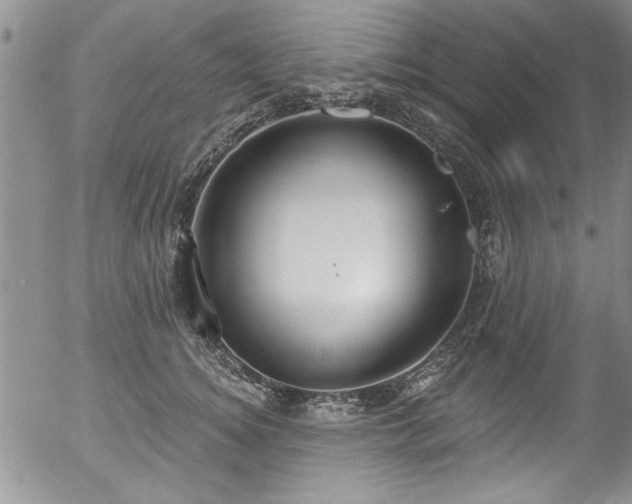 X0000057090756200509120919