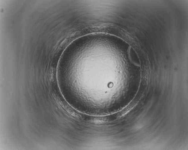 X0000057090758200509120919