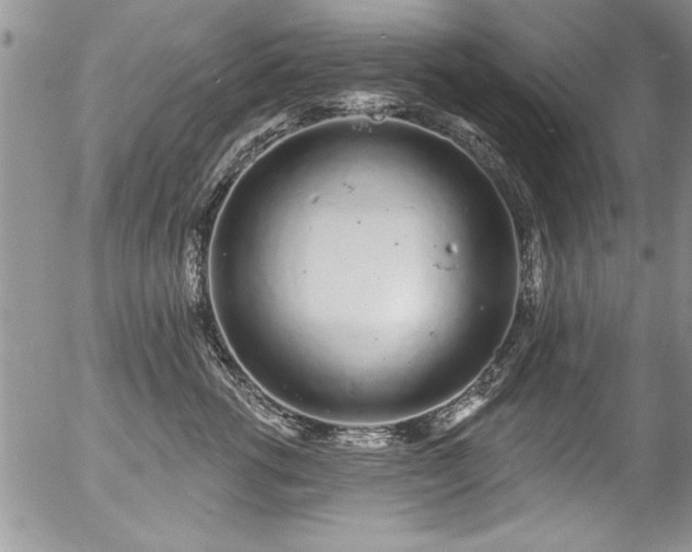 X0000057090762200509120919