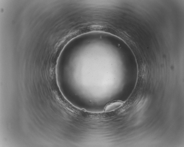 X0000057090763200509120919