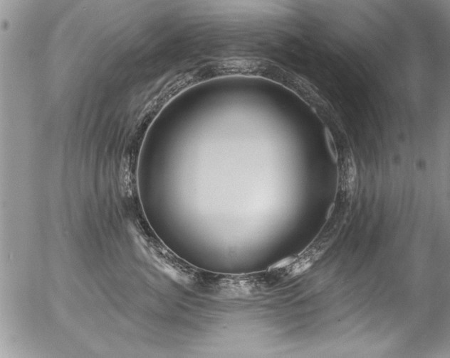 X0000057090764200509120919